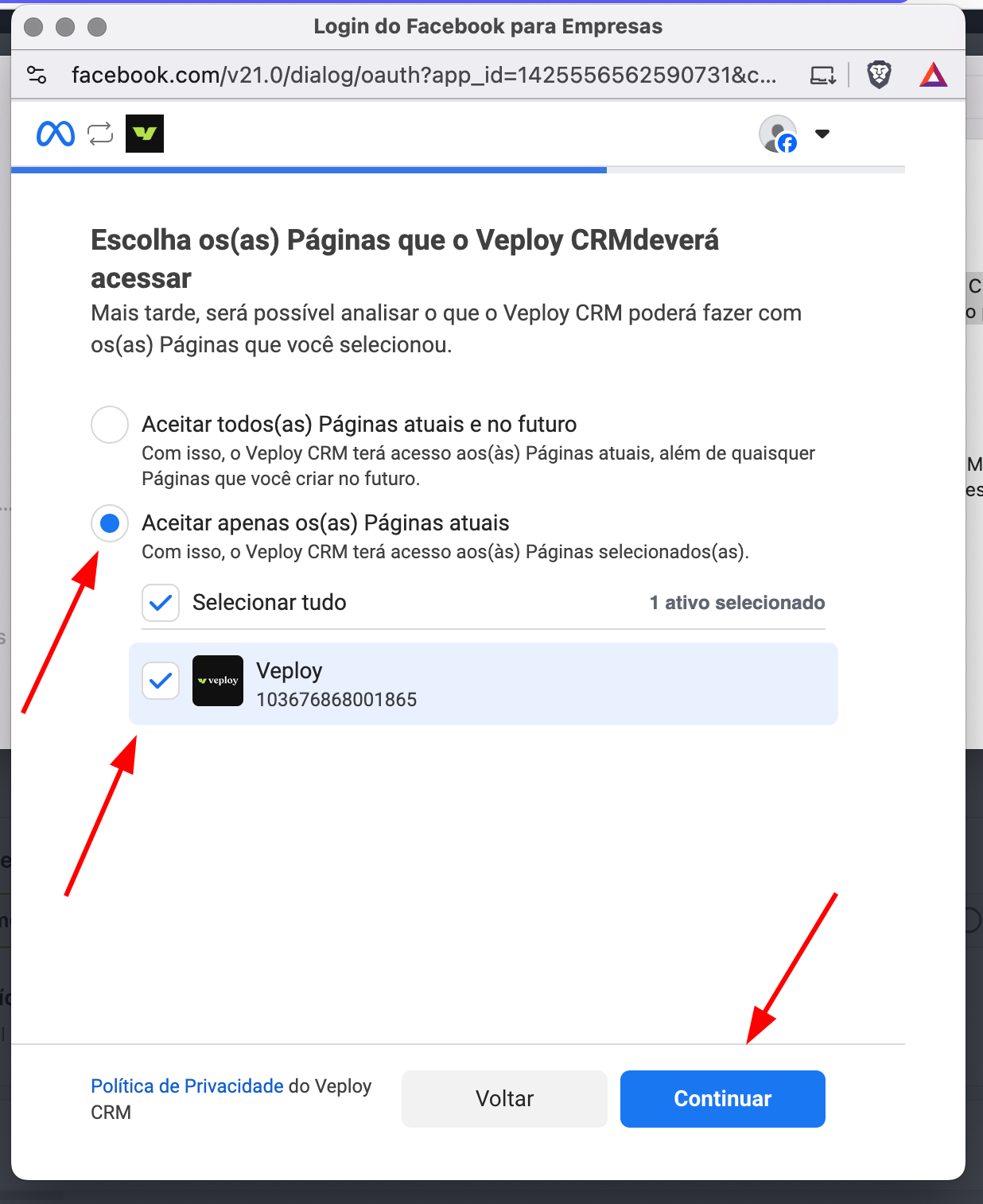 Tela "Escolha os(as) Páginas que o Veploy CRM deverá acessar" com a opção "Aceitar apenas os(as) Páginas atuais", o checkbox da página e o botão "Continuar" em destaque